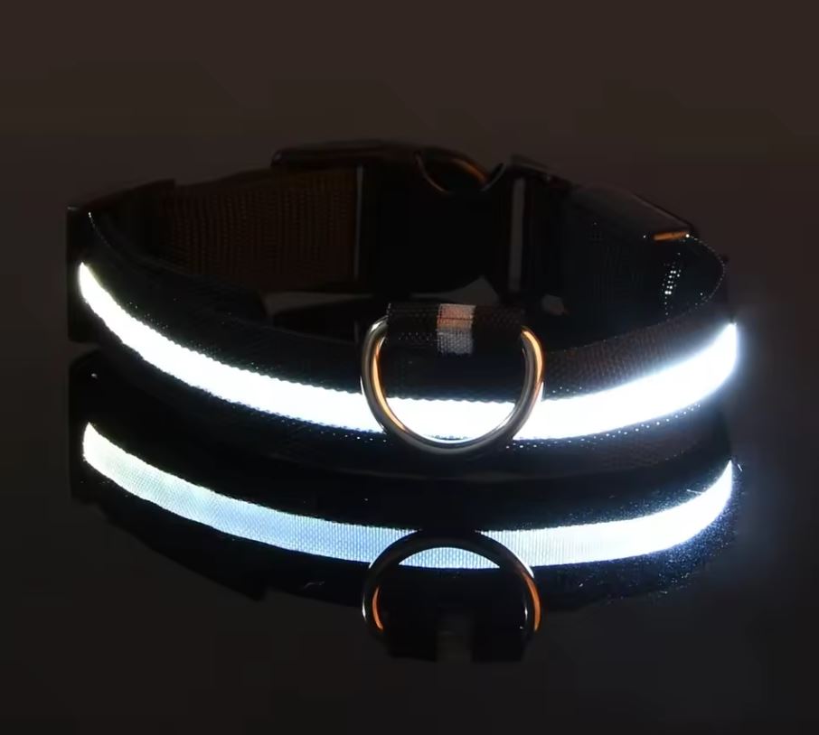 LED Nylon Dog Collar