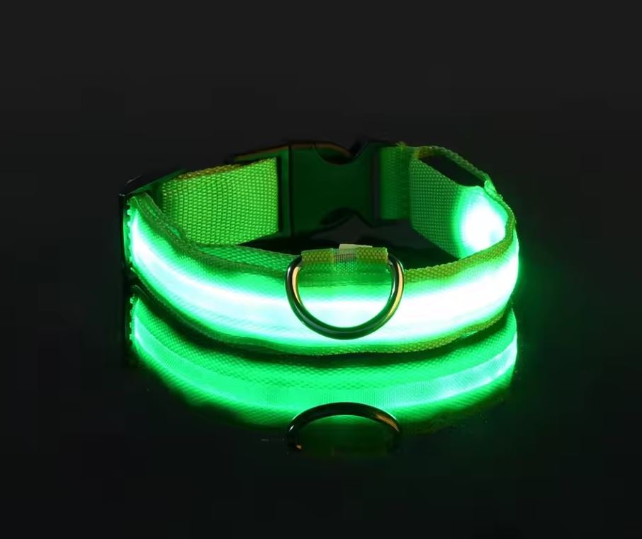 LED Nylon Dog Collar