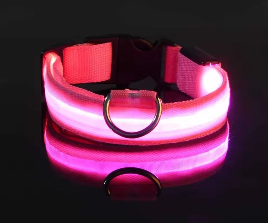 LED Nylon Dog Collar