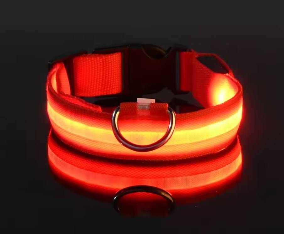 LED Nylon Dog Collar