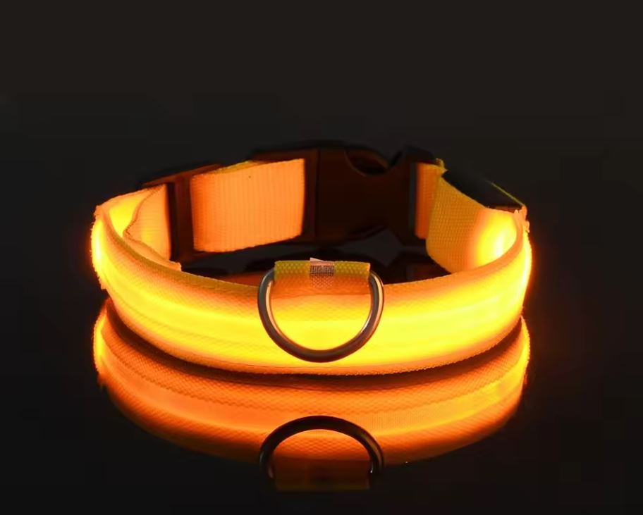 LED Nylon Dog Collar