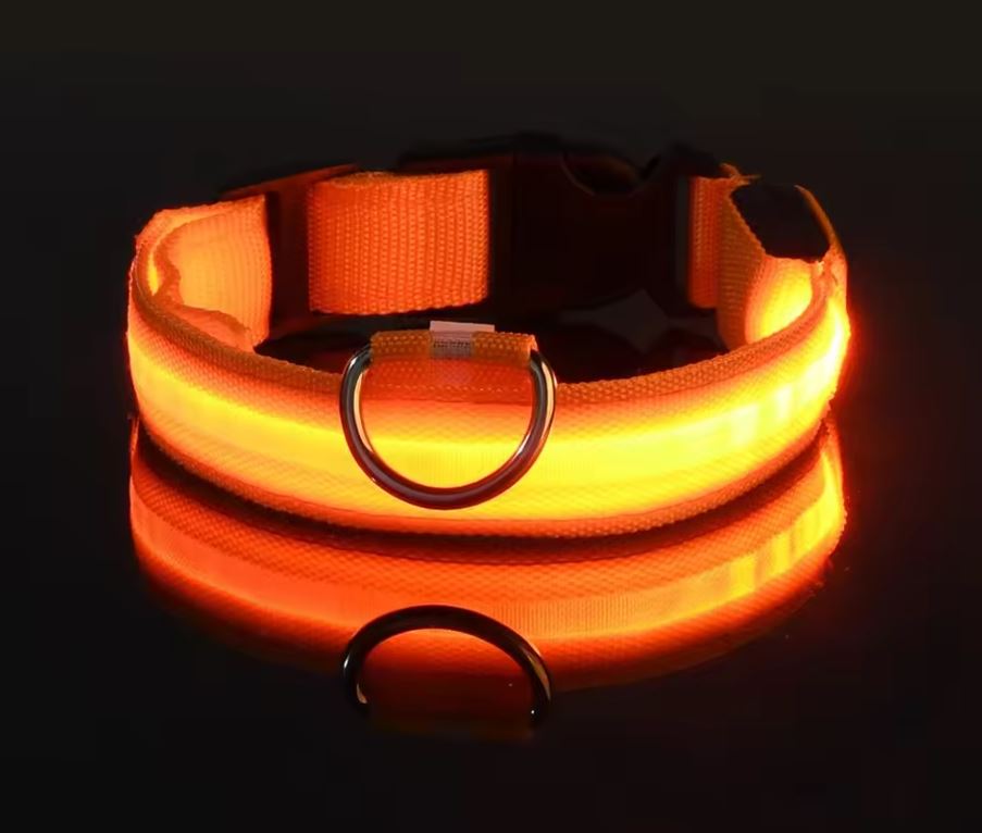 LED Nylon Dog Collar