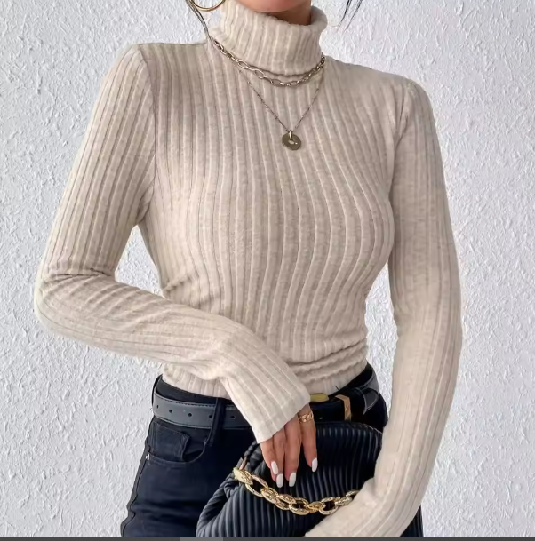 Nancy Slim Fit Knit Turtleneck Top