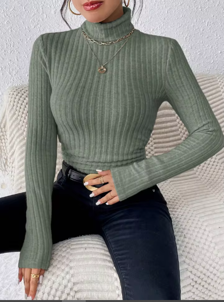 Nancy Slim Fit Knit Turtleneck Top