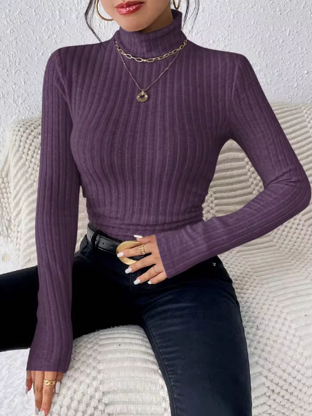 Nancy Slim Fit Knit Turtleneck Top