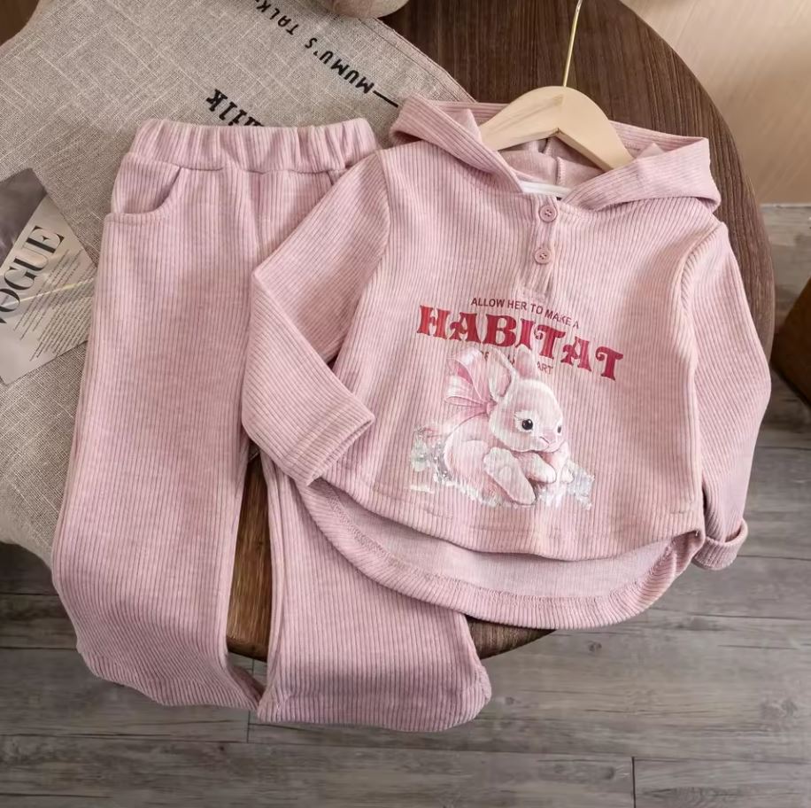 Spring Special! Children's 2-Piece Hoodie & Wide Leg Pants Set – Limited-Time Sale